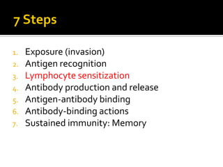 1.   Exposure (invasion)
2.   Antigen recognition
3.   Lymphocyte sensitization
4.   Antibody production and release
5.   Antigen-antibody binding
6.   Antibody-binding actions
7.   Sustained immunity: Memory
 