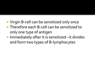    Virgin B-cell can be sensitized only once
   Therefore each B-cell can be sensitized to
    only one type of antigen
   Immediately after it is sensitized –it divides
    and form two types of B-lymphocytes
 