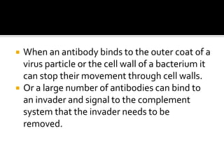    When an antibody binds to the outer coat of a
    virus particle or the cell wall of a bacterium it
    can stop their movement through cell walls.
   Or a large number of antibodies can bind to
    an invader and signal to the complement
    system that the invader needs to be
    removed.
 