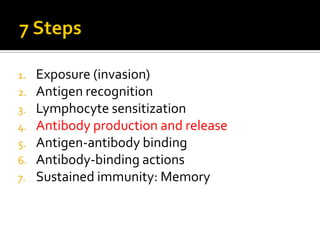 1.   Exposure (invasion)
2.   Antigen recognition
3.   Lymphocyte sensitization
4.   Antibody production and release
5.   Antigen-antibody binding
6.   Antibody-binding actions
7.   Sustained immunity: Memory
 