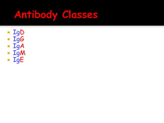    IgD
   IgG
   IgA
   IgM
   IgE
 