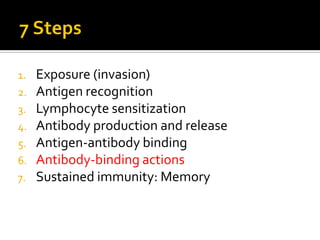 1.   Exposure (invasion)
2.   Antigen recognition
3.   Lymphocyte sensitization
4.   Antibody production and release
5.   Antigen-antibody binding
6.   Antibody-binding actions
7.   Sustained immunity: Memory
 