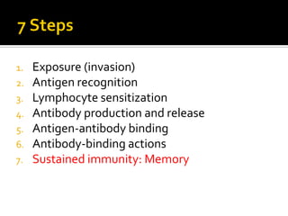 1.   Exposure (invasion)
2.   Antigen recognition
3.   Lymphocyte sensitization
4.   Antibody production and release
5.   Antigen-antibody binding
6.   Antibody-binding actions
7.   Sustained immunity: Memory
 