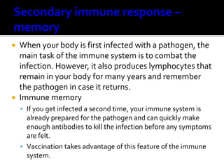  When your body is first infected with a pathogen, the
  main task of the immune system is to combat the
  infection. However, it also produces lymphocytes that
  remain in your body for many years and remember
  the pathogen in case it returns.
 Immune memory
     If you get infected a second time, your immune system is
      already prepared for the pathogen and can quickly make
      enough antibodies to kill the infection before any symptoms
      are felt.
     Vaccination takes advantage of this feature of the immune
      system.
 