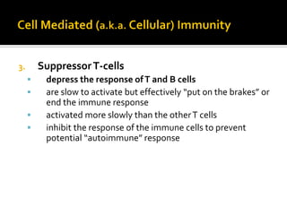 3.       Suppressor T-cells
         depress the response of T and B cells
         are slow to activate but effectively “put on the brakes” or
          end the immune response
         activated more slowly than the other T cells
         inhibit the response of the immune cells to prevent
          potential “autoimmune” response
 