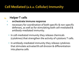4.        Helper T cells
           orchestrate immune response
           necessary for coordination of both specific & non-specific
            defenses, as well as for stimulating both cell-mediated &
            antibody-mediated immunity.
          In cell-mediated immunity they release chemicals
           (cytokines) that strengthen the activity of cytotoxic T cells.
          In antibody-mediated immunity they release cytokines
           that stimulate activated B cell division & differentiation
           into plasma cells
 