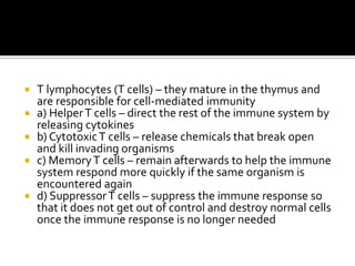    T lymphocytes (T cells) – they mature in the thymus and
    are responsible for cell-mediated immunity
   a) Helper T cells – direct the rest of the immune system by
    releasing cytokines
   b) Cytotoxic T cells – release chemicals that break open
    and kill invading organisms
   c) Memory T cells – remain afterwards to help the immune
    system respond more quickly if the same organism is
    encountered again
   d) Suppressor T cells – suppress the immune response so
    that it does not get out of control and destroy normal cells
    once the immune response is no longer needed
 