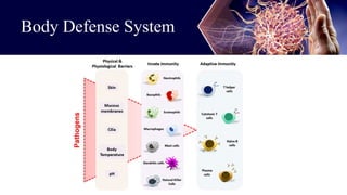Comprehensive Overview of the Immune and Lymphatic Systems: Defense ...
