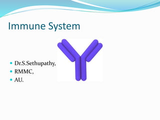 Immune System
 Dr.S.Sethupathy,
 RMMC,
 AU.
 