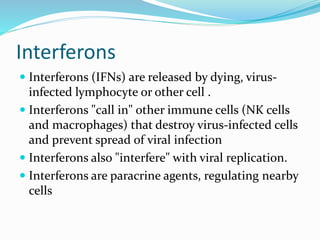 Interferons
 Interferons (IFNs) are released by dying, virus-
infected lymphocyte or other cell .
 Interferons "call in" other immune cells (NK cells
and macrophages) that destroy virus-infected cells
and prevent spread of viral infection
 Interferons also "interfere" with viral replication.
 Interferons are paracrine agents, regulating nearby
cells
 