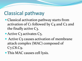 Classical pathway
 Classical activation pathway starts from
activation of C1 followed by C4 and C2 and
the finally active C3.
 Active C3 activates C5.
 Active C5 causes activation of membrane
attack complex (MAC) composed of
C7,C8.C9.
 This MAC causes cell lysis.
 