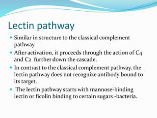 Lectin pathway
 Similar in structure to the classical complement
pathway
 After activation, it proceeds through the action of C4
and C2 further down the cascade.
 In contrast to the classical complement pathway, the
lectin pathway does not recognize antibody bound to
its target.
 The lectin pathway starts with mannose-binding
lectin or ficolin binding to certain sugars -bacteria.
 