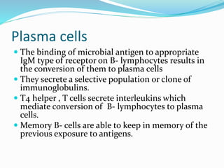 Plasma cells
 The binding of microbial antigen to appropriate
IgM type of receptor on B- lymphocytes results in
the conversion of them to plasma cells
 They secrete a selective population or clone of
immunoglobulins.
 T4 helper , T cells secrete interleukins which
mediate conversion of B- lymphocytes to plasma
cells.
 Memory B- cells are able to keep in memory of the
previous exposure to antigens.
 