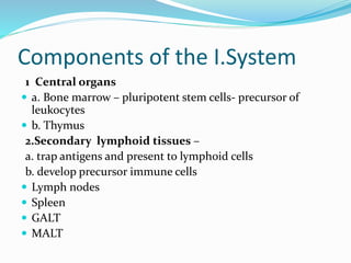 Components of the I.System
1 Central organs
 a. Bone marrow – pluripotent stem cells- precursor of
leukocytes
 b. Thymus
2.Secondary lymphoid tissues –
a. trap antigens and present to lymphoid cells
b. develop precursor immune cells
 Lymph nodes
 Spleen
 GALT
 MALT
 