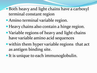  Both heavy and light chains have a carboxyl
terminal constant region
 Amino terminal variable region.
 Heavy chains also contain a hinge region.
 Variable regions of heavy and light chains
have variable amino acid sequences
 within them hyper variable regions that act
as antigen binding site.
 It is unique to each immunoglobulin.
 