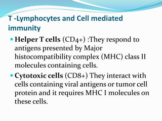 T -Lymphocytes and Cell mediated
immunity
 Helper T cells (CD4+) :They respond to
antigens presented by Major
histocompatibility complex (MHC) class II
molecules containing cells.
 Cytotoxic cells (CD8+) They interact with
cells containing viral antigens or tumor cell
protein and it requires MHC I molecules on
these cells.
 