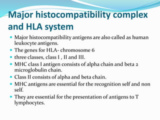Major histocompatibility complex
and HLA system
 Major histocompatibility antigens are also called as human
leukocyte antigens.
 The genes for HLA- chromosome 6
 three classes, class I , II and III.
 MHC class I antigen consists of alpha chain and beta 2
microglobulin chain.
 Class II consists of alpha and beta chain.
 MHC antigens are essential for the recognition self and non
self.
 They are essential for the presentation of antigens to T
lymphocytes.
 