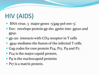 HIV (AIDS)
 RNA virus. 3 major genes -5'gag-pol-env-3‘.
 Env: envelope protein gp 160. gp160 into gp120 and
gp41.
 gp 120 interacts with CD4 receptor in T cells
 gp41 mediates the fusion of the infected T cells.
 Gag codes for core protein P24, P17, P9 and P7.
 P24 is the major capsid protein,
 P9 is the nucleocapsid proteins
 P17 is a matrix protein.
 
