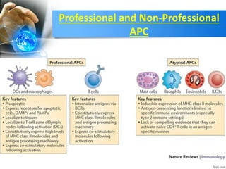 Professional and Non-Professional
APC
 