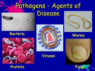 Pathogens - Agents ofPathogens - Agents of
DiseaseDisease
Bacteria
Protists
Viruses
Worms
Fungi
 