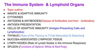 immune system histology lect .pdfmwdicen | PDF