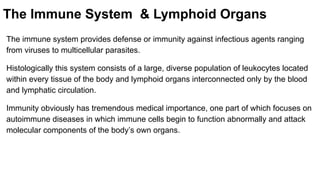 immune system histology lect .pdfmwdicen | PDF