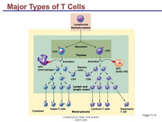 15
Major Types of T Cells
Figure 21.14
COMPILED BY: PROF.ANWAR BAIG
(AIKTC,SOP)
 