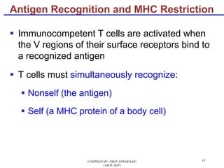 18
§ Immunocompetent T cells are activated when
the V regions of their surface receptors bind to
a recognized antigen
§ T cells must simultaneously recognize:
§ Nonself (the antigen)
§ Self (a MHC protein of a body cell)
Antigen Recognition and MHC Restriction
COMPILED BY: PROF.ANWAR BAIG
(AIKTC,SOP)
 