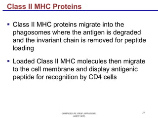 23
§ Class II MHC proteins migrate into the
phagosomes where the antigen is degraded
and the invariant chain is removed for peptide
loading
§ Loaded Class II MHC molecules then migrate
to the cell membrane and display antigenic
peptide for recognition by CD4 cells
Class II MHC Proteins
COMPILED BY: PROF.ANWAR BAIG
(AIKTC,SOP)
 