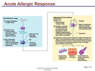 46
Acute Allergic Response
Figure 21.20
COMPILED BY: PROF.ANWAR BAIG
(AIKTC,SOP)
 