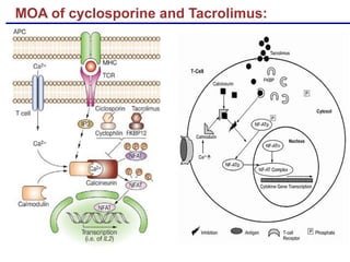 MOA of cyclosporine and Tacrolimus:
/
 