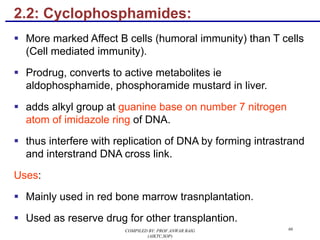 2.2: Cyclophosphamides:
§ More marked Affect B cells (humoral immunity) than T cells
(Cell mediated immunity).
§ Prodrug, converts to active metabolites ie
aldophosphamide, phosphoramide mustard in liver.
§ adds alkyl group at guanine base on number 7 nitrogen
atom of imidazole ring of DNA.
§ thus interfere with replication of DNA by forming intrastrand
and interstrand DNA cross link.
Uses:
§ Mainly used in red bone marrow trasnplantation.
§ Used as reserve drug for other transplantion.
66COMPILED BY: PROF.ANWAR BAIG
(AIKTC,SOP)
 