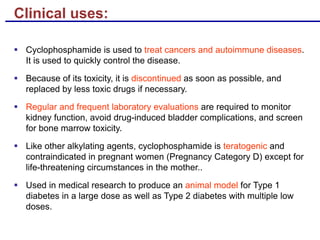 Clinical uses:
§ Cyclophosphamide is used to treat cancers and autoimmune diseases.
It is used to quickly control the disease.
§ Because of its toxicity, it is discontinued as soon as possible, and
replaced by less toxic drugs if necessary.
§ Regular and frequent laboratory evaluations are required to monitor
kidney function, avoid drug-induced bladder complications, and screen
for bone marrow toxicity.
§ Like other alkylating agents, cyclophosphamide is teratogenic and
contraindicated in pregnant women (Pregnancy Category D) except for
life-threatening circumstances in the mother..
§ Used in medical research to produce an animal model for Type 1
diabetes in a large dose as well as Type 2 diabetes with multiple low
doses.
 