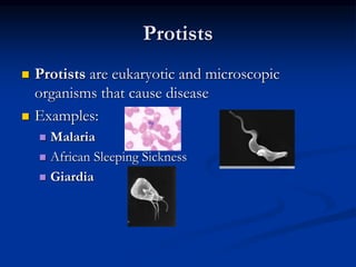 Protists
 Protists are eukaryotic and microscopic
organisms that cause disease
 Examples:
 Malaria
 African Sleeping Sickness
 Giardia
 