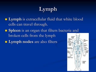 Lymph
 Lymph is extracellular fluid that white blood
cells can travel through.
 Spleen is an organ that filters bacteria and
broken cells from the lymph
 Lymph nodes are also filters
 