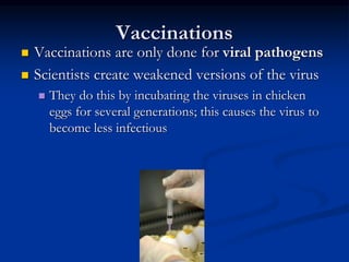 Vaccinations
 Vaccinations are only done for viral pathogens
 Scientists create weakened versions of the virus
 They do this by incubating the viruses in chicken
eggs for several generations; this causes the virus to
become less infectious
 