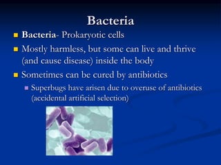 Bacteria
 Bacteria- Prokaryotic cells
 Mostly harmless, but some can live and thrive
(and cause disease) inside the body
 Sometimes can be cured by antibiotics
 Superbugs have arisen due to overuse of antibiotics
(accidental artificial selection)
 