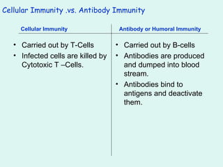 Cellular Immunity .vs. Antibody Immunity Carried out by T-Cells Infected cells are killed by Cytotoxic T –Cells. Carried out by B-cells Antibodies are produced and dumped into blood stream.  Antibodies bind to antigens and deactivate them. Cellular Immunity  Antibody or Humoral Immunity 