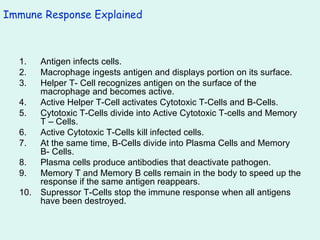 Immune Response Explained Antigen infects cells. Macrophage ingests antigen and displays portion on its surface. Helper T- Cell recognizes antigen on the surface of the macrophage and becomes active. Active Helper T-Cell activates Cytotoxic T-Cells and B-Cells. Cytotoxic T-Cells divide into Active Cytotoxic T-cells and Memory T – Cells. Active Cytotoxic T-Cells kill infected cells. At the same time, B-Cells divide into Plasma Cells and Memory  B- Cells. Plasma cells produce antibodies that deactivate pathogen. Memory T and Memory B cells remain in the body to speed up the response if the same antigen reappears. Supressor T-Cells stop the immune response when all antigens have been destroyed. 