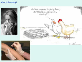 What is Immunity? 