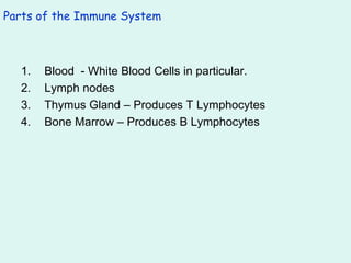 Parts of the Immune System Blood  - White Blood Cells in particular. Lymph nodes Thymus Gland – Produces T Lymphocytes Bone Marrow – Produces B Lymphocytes 