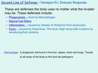 Second Line of Defense  –  Nonspecific Immune Response These are defenses the body uses no matter what the invader may be. These defenses include: Phagocytosis  –  done by Macrophages Natural Cell Killers Inflammation  - caused by release of Histamine from leukocytes Fever  – caused by histamines. The fever (high temp) kills invaders by denaturing their proteins. Macrophage :  A phagocytic cell found in the liver, spleen, brain and lungs. Travels to all areas of the body to find and eat pathogens. 