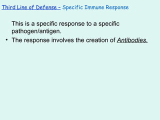 This is a specific response to a specific pathogen/antigen. The response involves the creation of  Antibodies. Third Line of Defense –   Specific Immune Response 