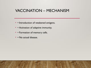 Comprehensive Overview of the Human Immune System and Its Functions | PPTX