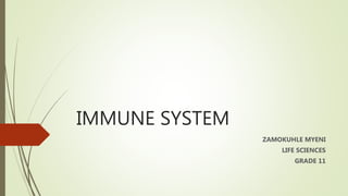 IMMUNE SYSTEM
ZAMOKUHLE MYENI
LIFE SCIENCES
GRADE 11
 