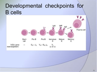 Immune tolerance | PPTX