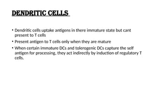 DENDRITIC CELLS
• Dendritic cells uptake antigens in there immature state but cant
present to T cells
• Present antigen to T cells only when they are mature
• When certain immature DCs and tolerogenic DCs capture the self
antigen for processing, they act indirectly by induction of regulatory T
cells.
 
