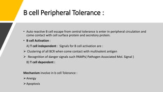 B cell Peripheral Tolerance :
• Auto reactive B cell escape from central tolerance is enter in peripheral circulation and
come contact with cell surface protein and secretory protein.
• B cell Activation :
A) T cell independent : Signals for B cell activation are :
 Clustering of all BCR when come contact with multivalent antigen
 Recognition of danger signals such PAMPs( Pathogen Associated Mol. Signal )
B) T cell dependent :
Mechanism involve in b cell Tolerance :
Anergy
Apoptosis
 