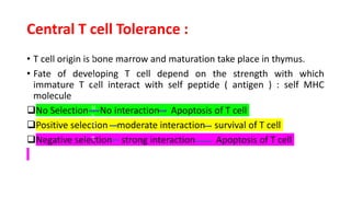 Central T cell Tolerance :
• T cell origin is bone marrow and maturation take place in thymus.
• Fate of developing T cell depend on the strength with which
immature T cell interact with self peptide ( antigen ) : self MHC
molecule
No Selection No interaction Apoptosis of T cell
Positive selection moderate interaction survival of T cell
Negative selection strong interaction Apoptosis of T cell
A
p
o
p
t
o
si
s
o
f
T
c
e
ll
 