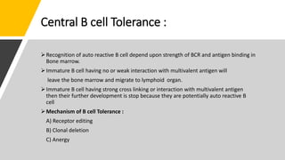 Central B cell Tolerance :
Recognition of auto reactive B cell depend upon strength of BCR and antigen binding in
Bone marrow.
Immature B cell having no or weak interaction with multivalent antigen will
leave the bone marrow and migrate to lymphoid organ.
Immature B cell having strong cross linking or interaction with multivalent antigen
then their further development is stop because they are potentially auto reactive B
cell
Mechanism of B cell Tolerance :
A) Receptor editing
B) Clonal deletion
C) Anergy
 
